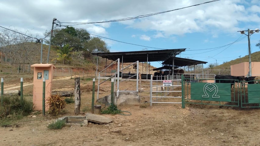 Commercial Property for Sale in Herrera 05001 Herrera 05001
